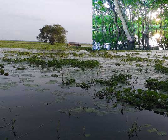 জলের গ্রাম অন্তেহরি 