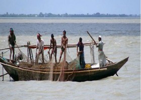 মাছ ধরছে কয়েকজন জেলে